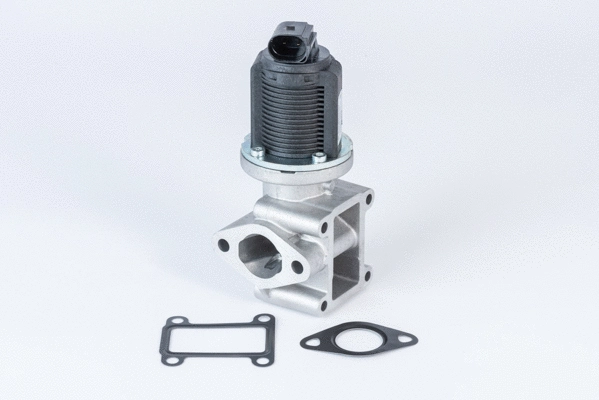 EGR Valve (710837D)