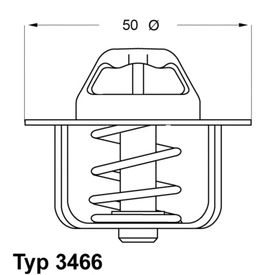 Thermostat, coolant (3466.89D)
