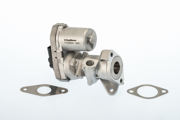 EGR Valve (711022D/1)