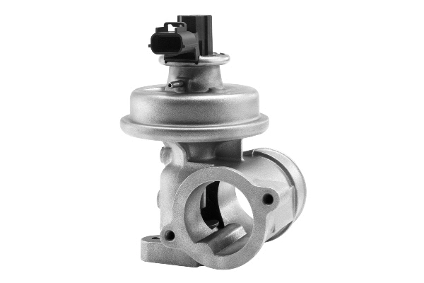 EGR Valve (710923R)
