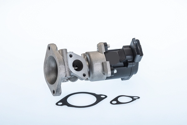EGR Valve (710976R)