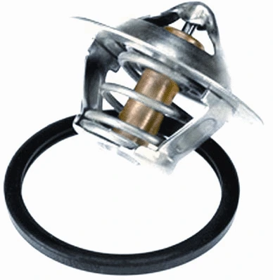 Thermostat, coolant