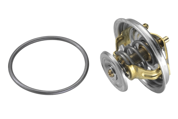 Thermostat, coolant