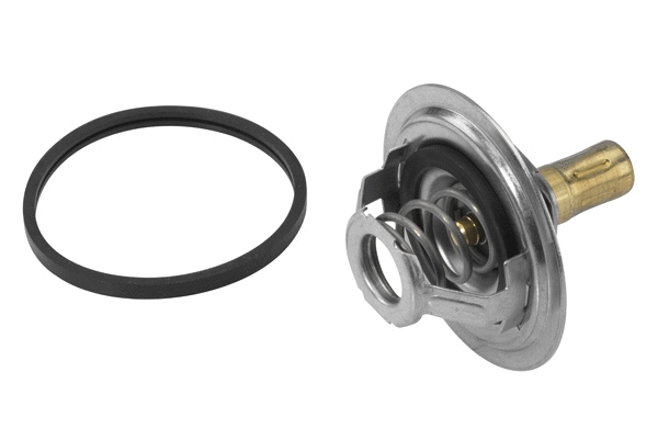 Thermostat, coolant