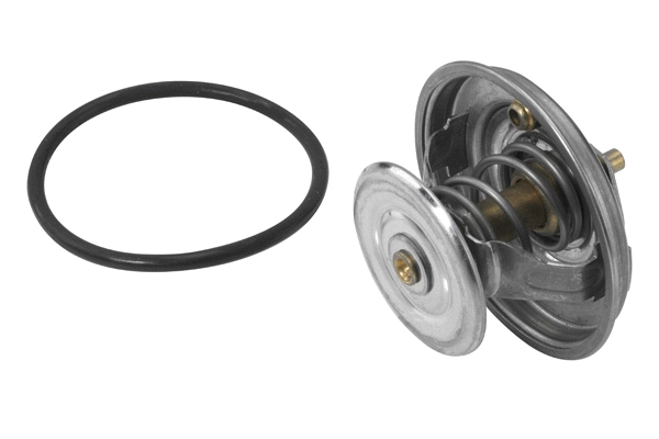 Thermostat, coolant (4112.79D)