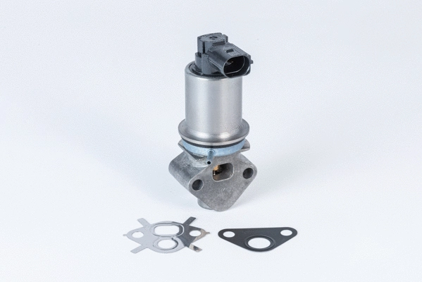 EGR Valve (710780D0)