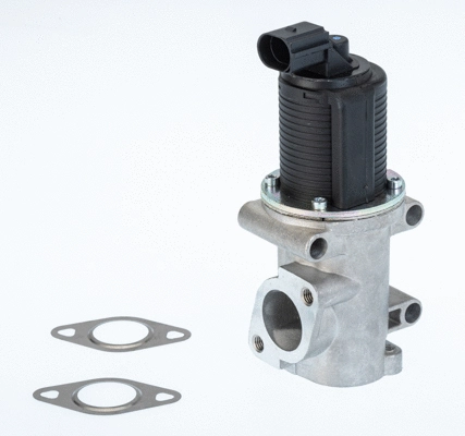 EGR Valve (710770D)