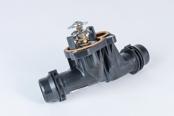 Thermostat, coolant (412255.85D)