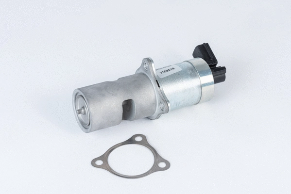 EGR Valve (710951R)