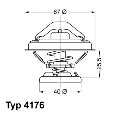Thermostat, coolant (4176.80D)