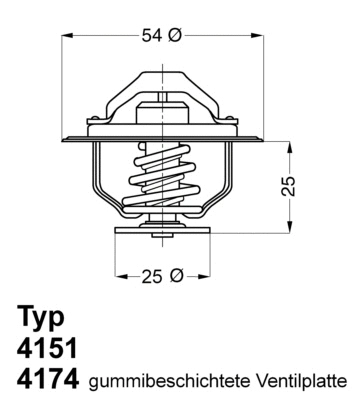 Thermostat, coolant (4174.79D)