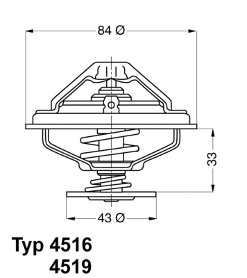 Thermostat, coolant (4516.85D)