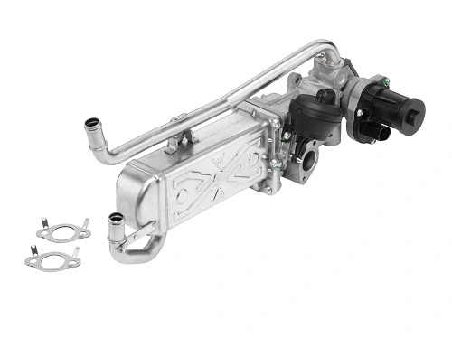 EGR Module (710862R)