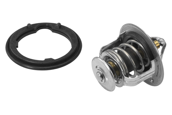 Thermostat, coolant (410224.82D)
