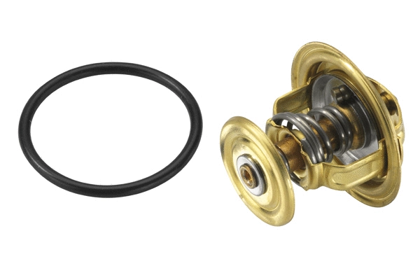 Thermostat, coolant