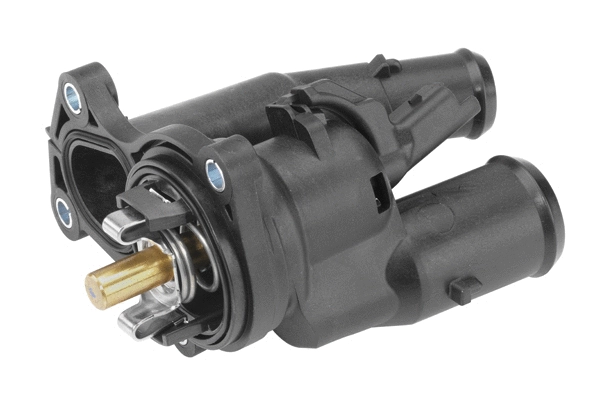 Thermostat, coolant
