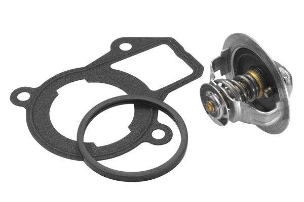 Thermostat, coolant