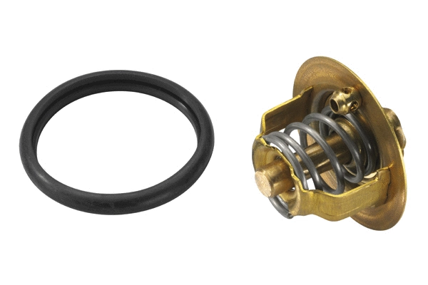 Thermostat, coolant