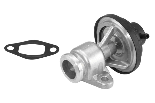EGR Valve (710570D)