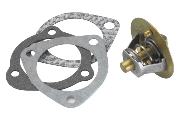 Thermostat, coolant