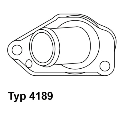 Thermostat, coolant (4189.87D)