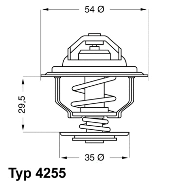 Thermostat, coolant (4255.87D)