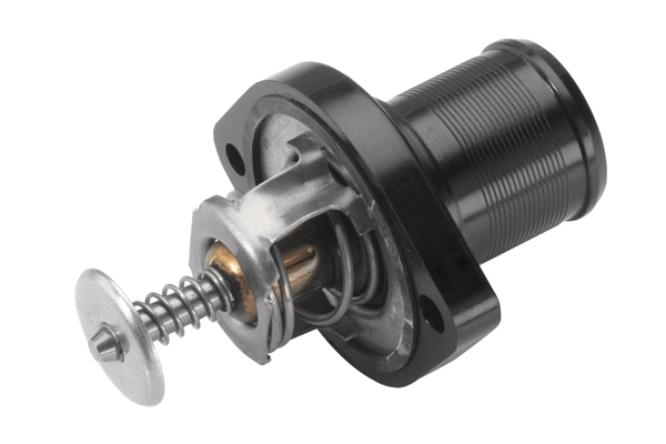 Thermostat, coolant