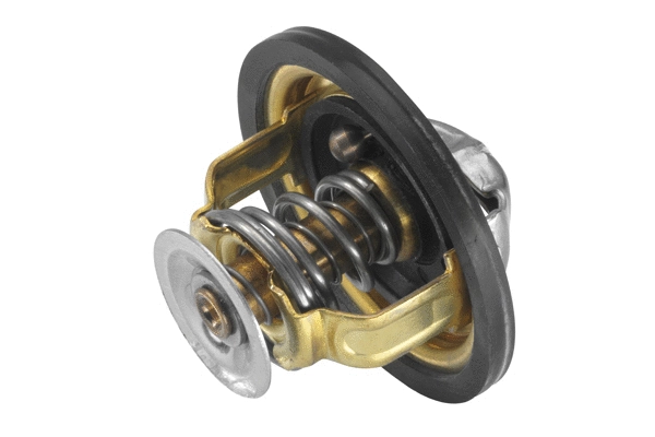 Thermostat, coolant