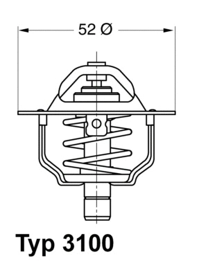 Thermostat, coolant (3100.88D)