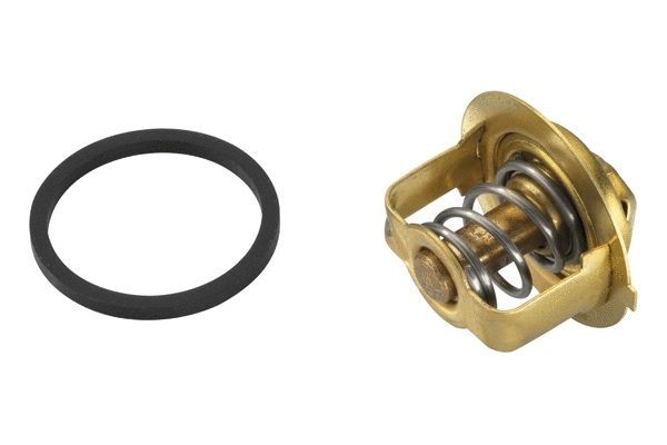 Thermostat, coolant