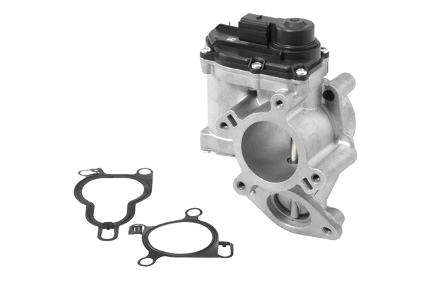 EGR Valve (710939R)
