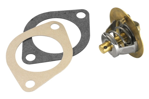 Thermostat, coolant