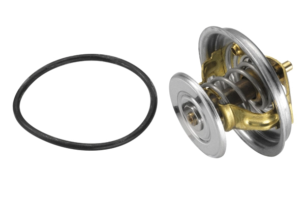 Thermostat, coolant (4078.87D)