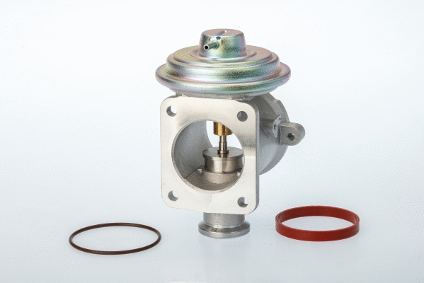 EGR Valve (710924D/1)