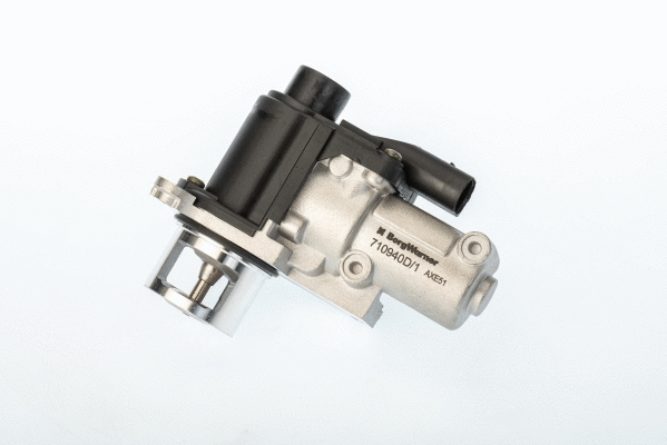 EGR Valve (710940D/1)