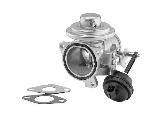 EGR Valve (7293D)