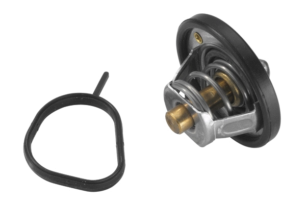 Thermostat, coolant