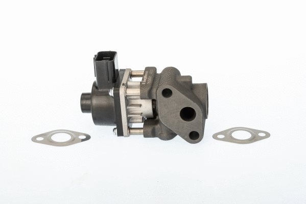 EGR Valve (711024D/1)
