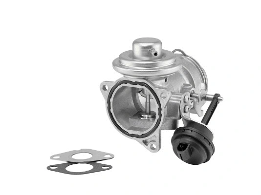 EGR Valve (7371D)
