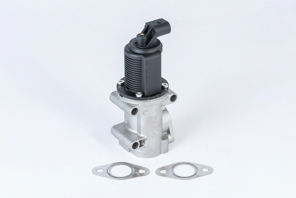 EGR Valve (710952R)