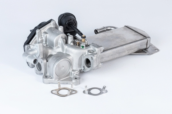 EGR Valve (710946R)