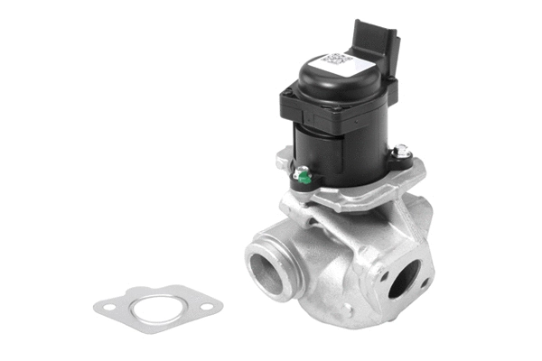 EGR Valve (710927R)