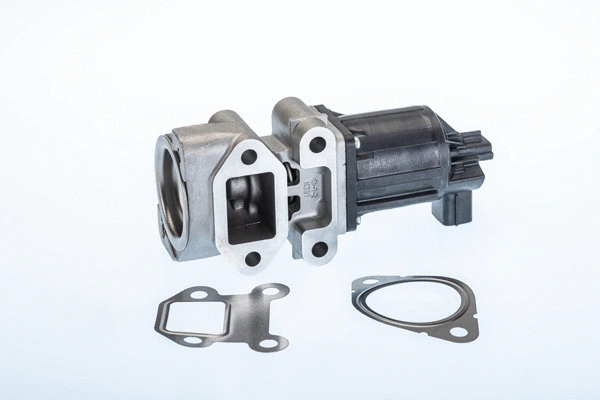 EGR Valve (710964R)