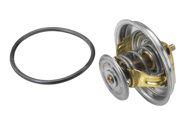 Thermostat, coolant