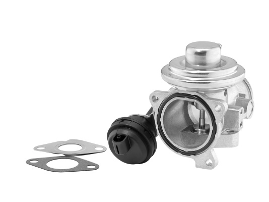 EGR Valve (7241D)