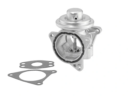 EGR Valve (7496D)