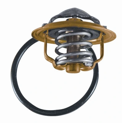 Thermostat, coolant