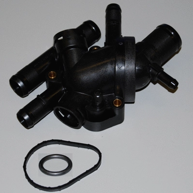 Thermostat, coolant (410518.89D)