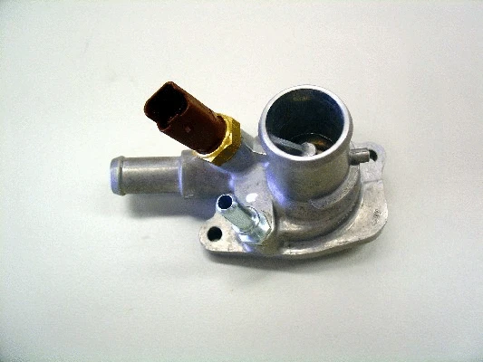 Thermostat, coolant (410090.88D)