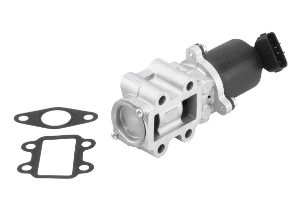 EGR Valve (710934R)
